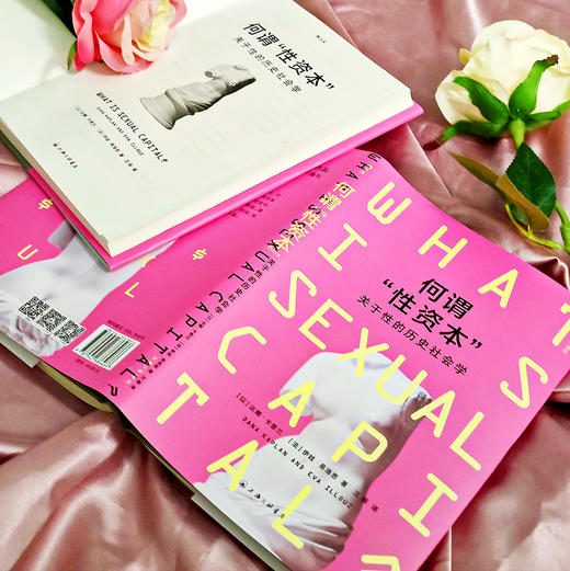 何谓“sex资本”？——关于sex的历史社会学 商品图3