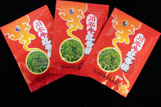 【5袋起四川省内包邮】川农牛·红香糯种子 100g/袋  糯性优良 富花青素景观性强 应用广泛 商品图4