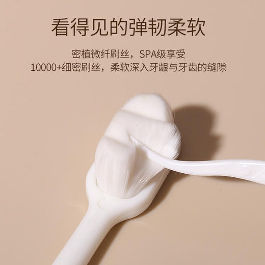 「4支装！高密度软毛」乐齿马卡龙牙刷 成人软毛牙刷孕妇月子牙刷口腔护理 商品图1