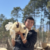 云南跑山鸡 ，下蛋老母鸡！土鸡蛋，高山散养240天以上！味道醇香，营养丰富 商品缩略图6