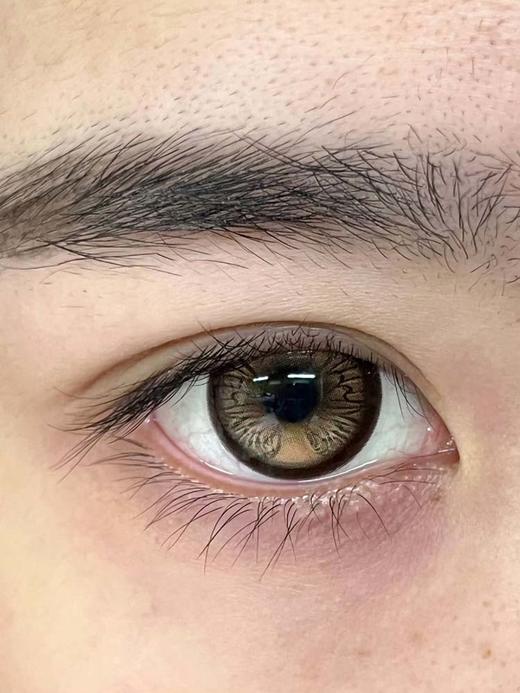 huohuocon 半年抛 帝王蝶翼  直径14.5mm着色13.9mm 商品图6