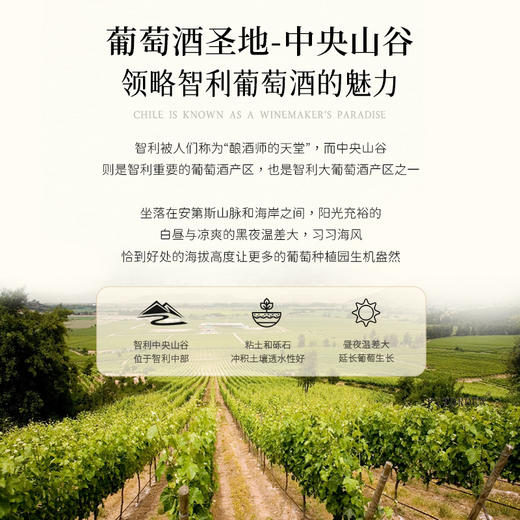 【曼联指定合作品牌】干露红魔鬼深蓝系列 智利原瓶进口 13.5%vol 商品图13