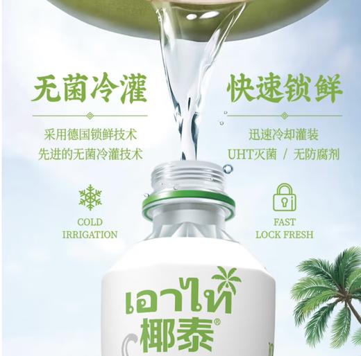 椰泰100%椰子水 零添加 360ml/瓶 商品图2