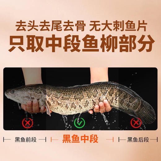 【10袋更值❗️黑鱼金汤酸菜鱼】活鱼现杀，滑嫩鱼肉，一口酸爽，鲜香入魂！爽口酸菜，浓郁金汤，生酸菜鱼半成品黑鱼片冷冻水煮鱼片 商品图1