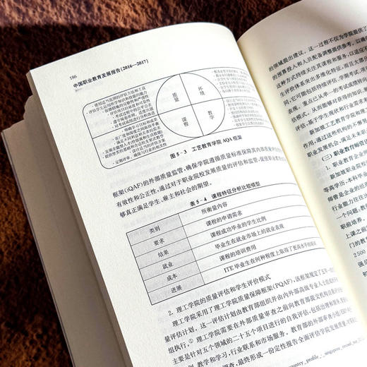 中国职业教育发展报告 2016—2017 职业教育改革实践 石伟平 商品图13