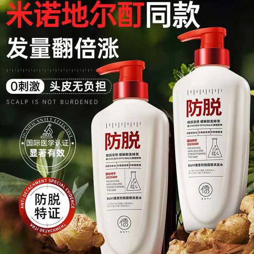 儒意防脱固根洗发水 控油蓬松去屑防脱固发洗头膏露品牌正品 男女可用 500ml 商品图0