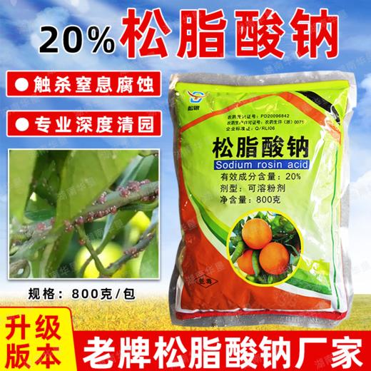 松脂酸钠升级版果树清园柑橘铁皮石斛杨梅介壳虫蚧壳虫杀虫剂正品 商品图0