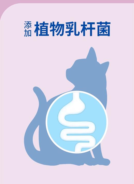 伊纳宝猫条植物乳杆菌系列啾噜猫零食成猫猫湿粮 商品图6