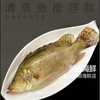 桂花鱼约1.5斤/条（超重补差价）仅限群光店 /条 商品缩略图0