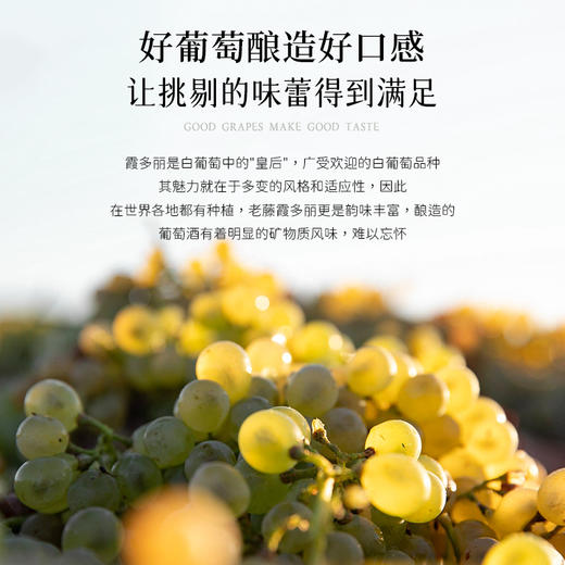 【曼联指定合作品牌】干露红魔鬼深蓝系列 智利原瓶进口 13.5%vol 商品图12