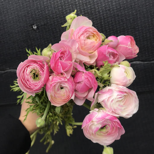 超级洋牡丹.瓷 商品图1