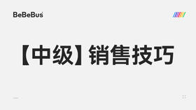 【中级】3-顾问必备