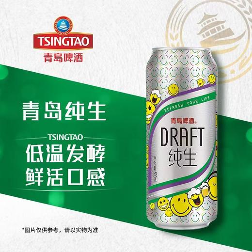 青岛500ml纯生啤酒听装【一箱请拍12听】 商品图0