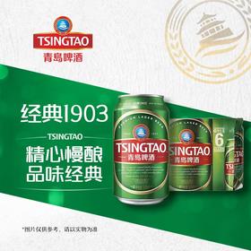 青岛经典1903（10度）听装啤酒330ml*6
