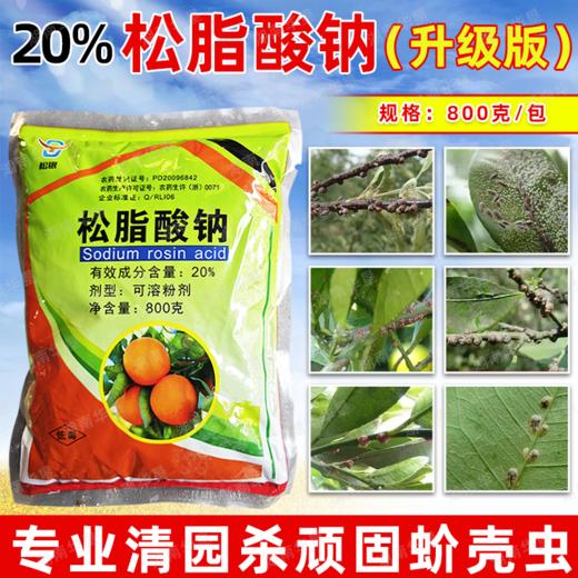 松脂酸钠升级版果树清园柑橘铁皮石斛杨梅介壳虫蚧壳虫杀虫剂正品 商品图3