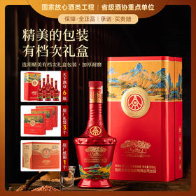 【春节热款】五粮液天下酒仓-江山如画 浓香型白酒 52%vol 500ml*6瓶