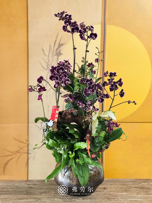 JT蛇年吉祥 商品图0