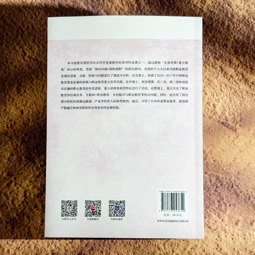 中国职业教育发展报告 2016—2017 职业教育改革实践 石伟平 商品图2