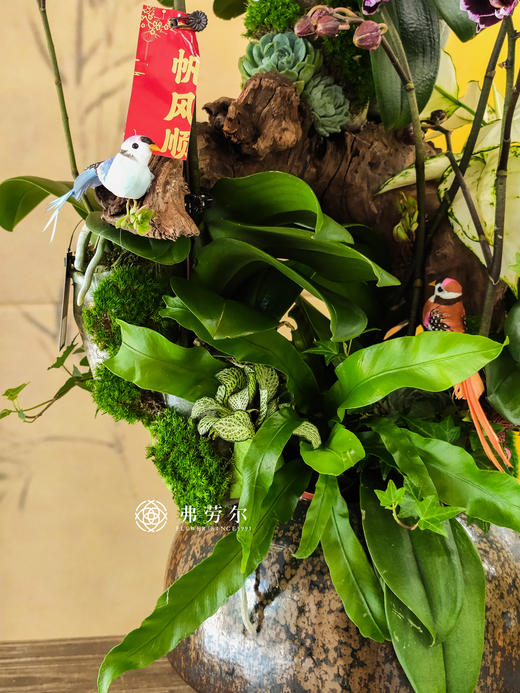 JT蛇年吉祥 商品图1