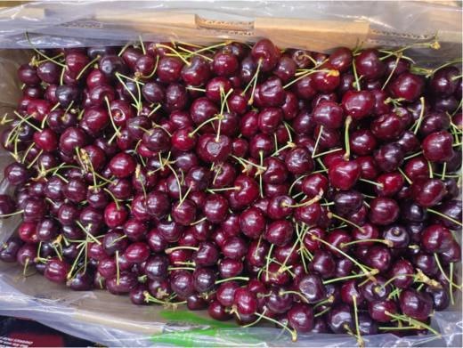 ROMERAL车厘子一箱 商品图3