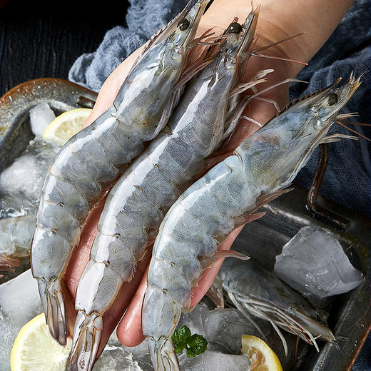 粉丝专属【到手3.3斤❗️厄瓜多尔南美白虾】源头直采，急速锁鲜，不缩水，无冰衣，壳薄肉嫩，个大饱满！生鲜冻品白对虾青虾基围虾海鲜水产 商品图3