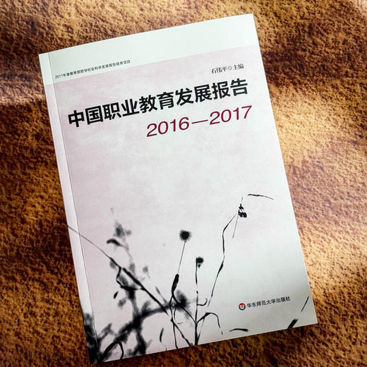中国职业教育发展报告 2016—2017 职业教育改革实践 石伟平 商品图4