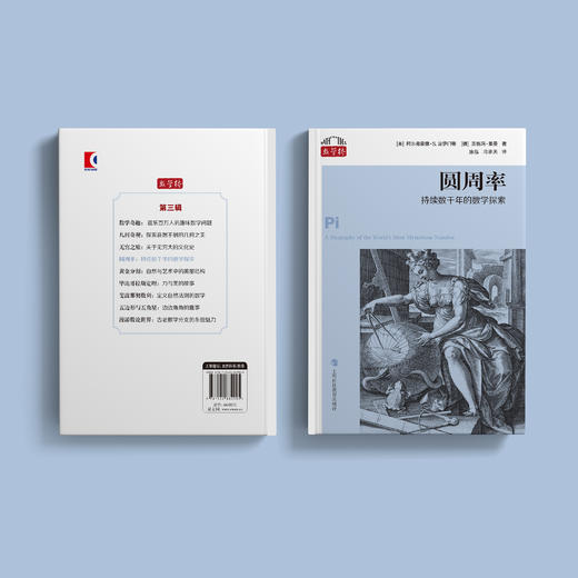 《圆周率：持续数千年的数学探索》 商品图8
