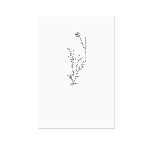 纯粹·梵澄译丛 印度神话学 (英)威廉·约瑟夫·威尔金斯/著  谢未艾/译 商品图3