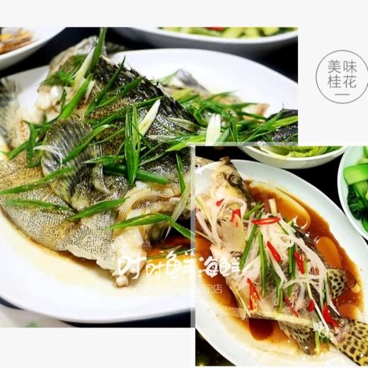 桂花鱼约1.5斤/条（超重补差价）仅限群光店 /条 商品图1