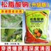 松脂酸钠升级版果树清园柑橘铁皮石斛杨梅介壳虫蚧壳虫杀虫剂正品 商品缩略图4