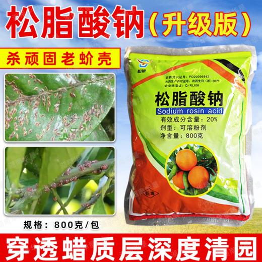 松脂酸钠升级版果树清园柑橘铁皮石斛杨梅介壳虫蚧壳虫杀虫剂正品 商品图4