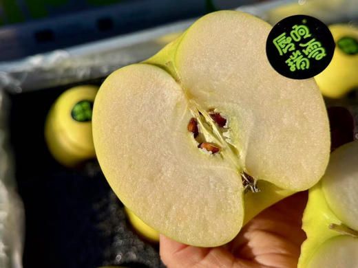 陕西：瑞雪苹果，妥妥国货之光，西北农林科技大学科研团队历经14年培育出的优质晚熟品种，深耕黄土高原，在数万次的实验中才研发出一颗极好种植、口感、颜值于一身！脆甜，口感一点不输阿克苏！4.5斤/箱 商品图0