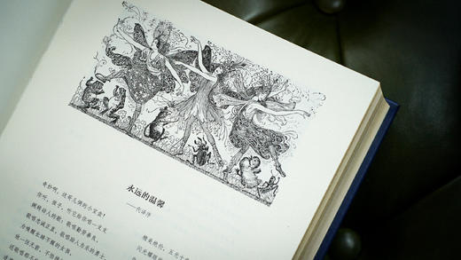 【积分兑换】【限量珍藏巨人版】《格林童话全集》蓝色山羊皮装帧，编号随机 商品图6