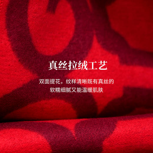 【央视2025年春晚围巾】礼盒装，真丝拉绒品质围巾，本命年大红中国红围巾，蛇年礼品 商品图3
