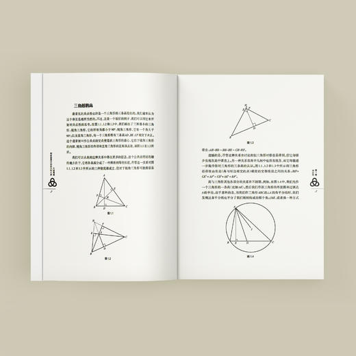 《几何奇观：探索意想不到的几何之美》 商品图6