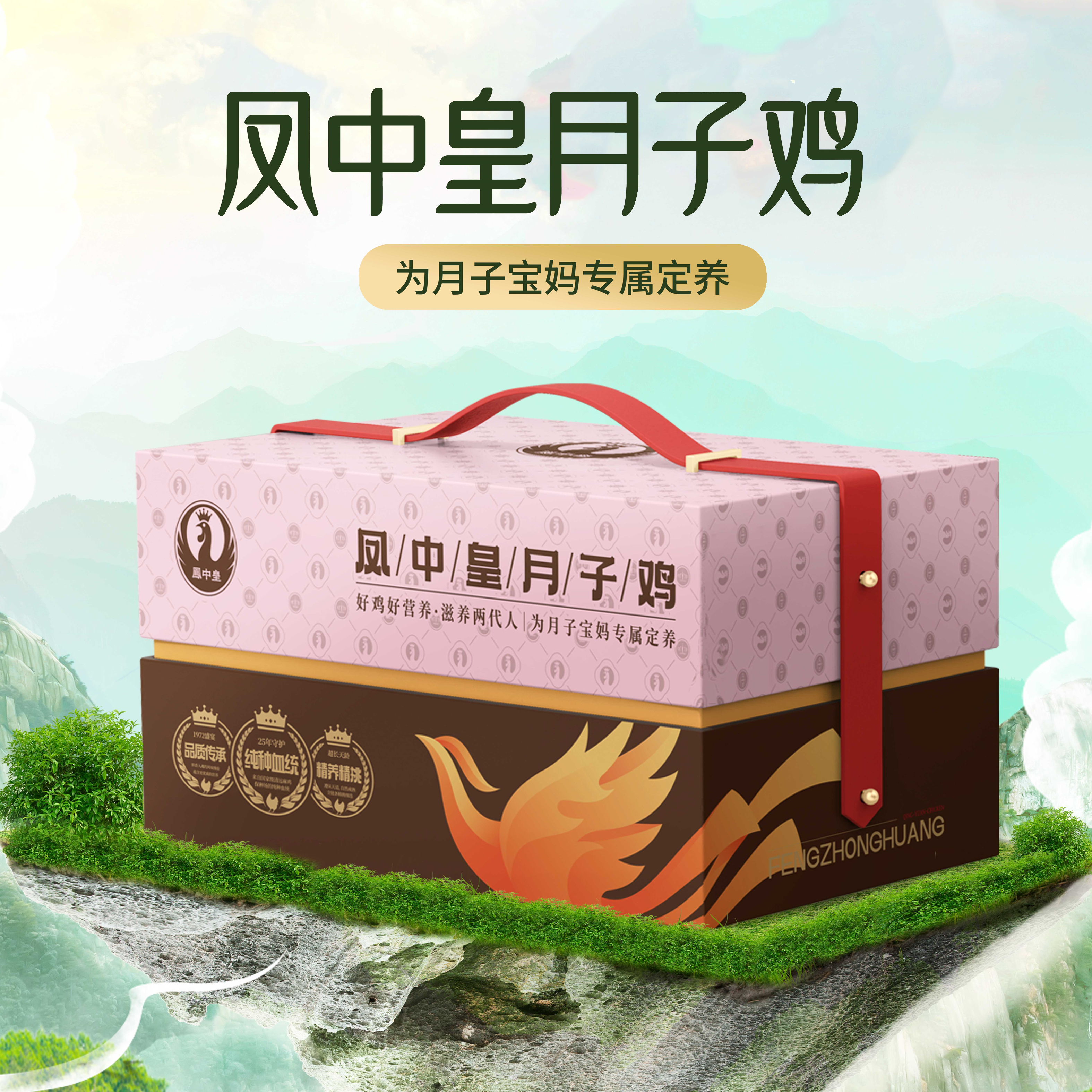 凤中皇孕养清远鸡1kg  好鸡好营养  好孕好胃口