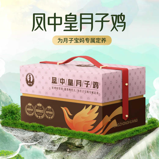 凤中皇孕养清远鸡1kg  好鸡好营养  好孕好胃口 商品图0