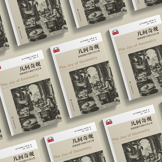 《几何奇观：探索意想不到的几何之美》 商品图2