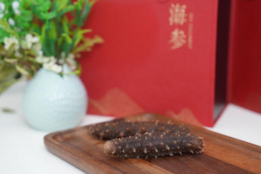即食阿拉斯加刺参2磅装 #宁波仓 商品图5