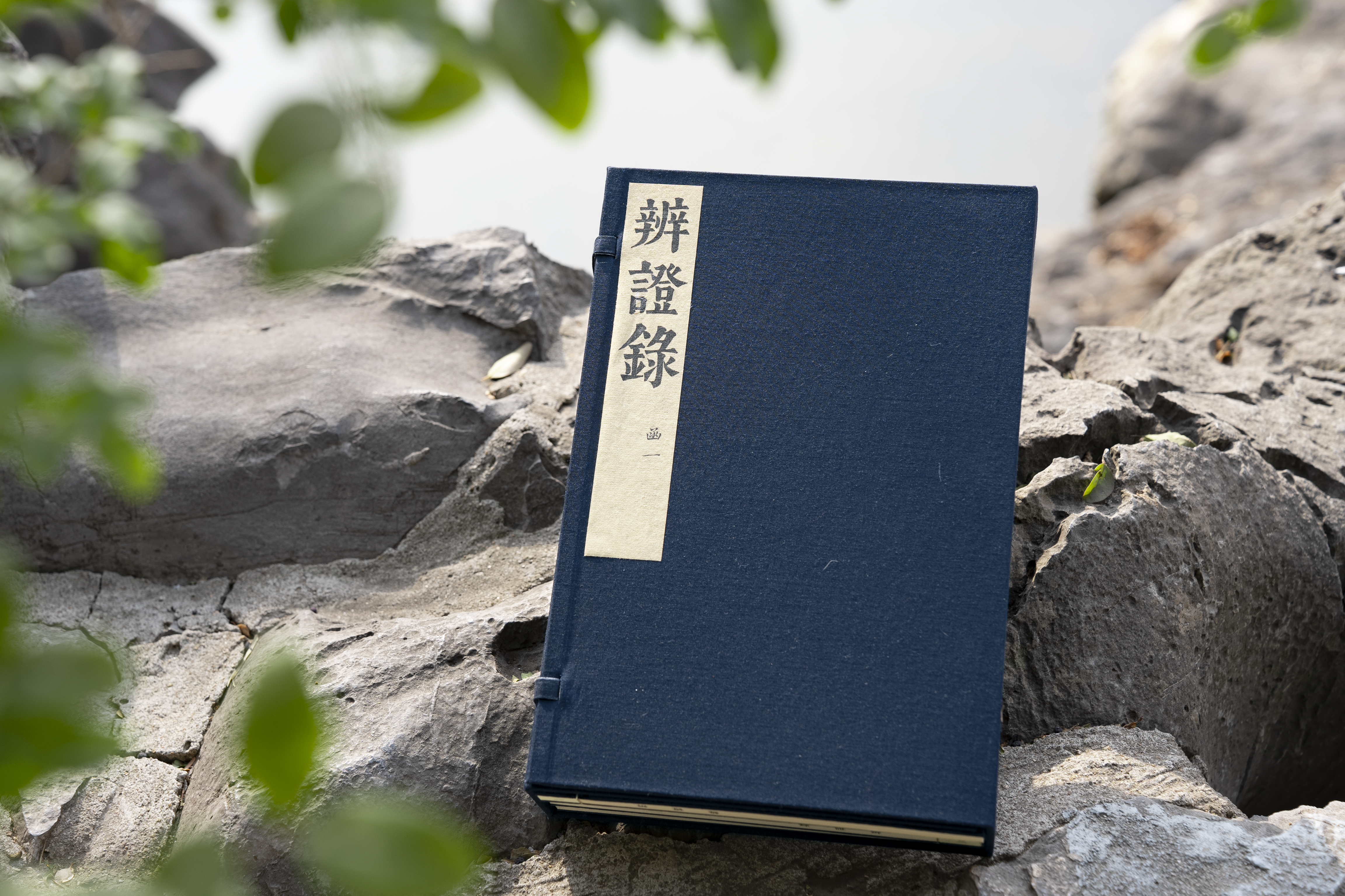 中医古籍善本丛刊之《辨证录》