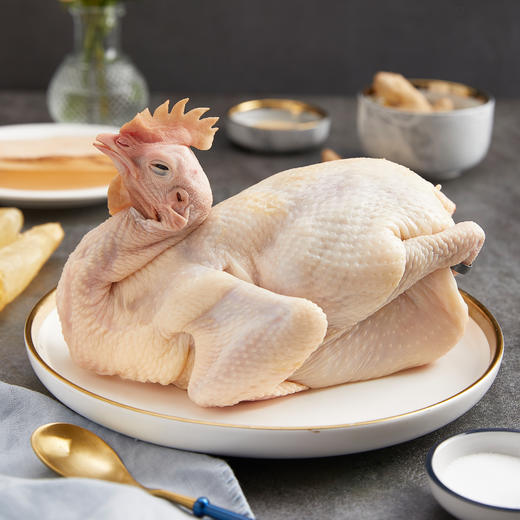 凤中皇孕养清远鸡1kg  好鸡好营养  好孕好胃口 商品图1