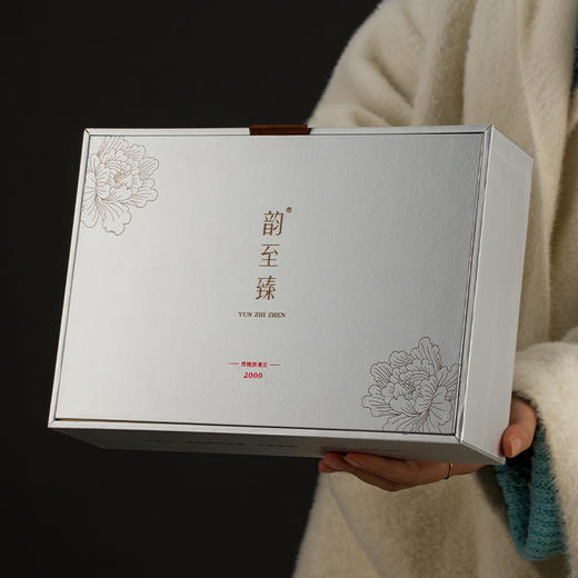 【传统2000】韵至臻 传统工艺 清香型铁观音  传统 2000 礼盒装 商品图7