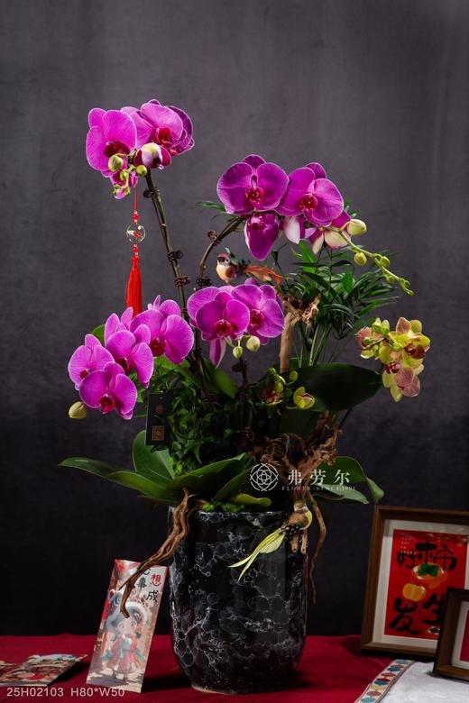 蛇岁呈祥 商品图0