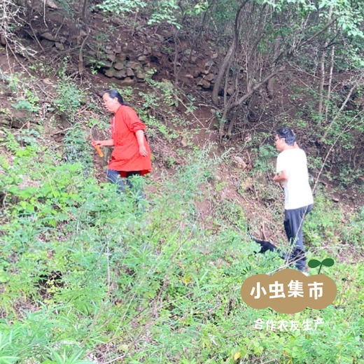 生态山楂零食系列 山楂条/山楂糕 | 合作农友生产，来自北京顺义，生产者：分享收获 *【公平贸易农人定价】 商品图10