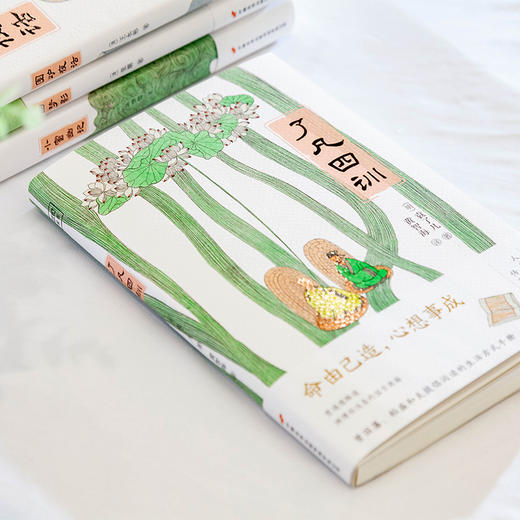 了凡四训 商品图2