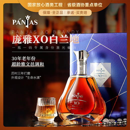 【欧洲知名雅文邑品牌】庞雅系列白兰地 法国雅文邑产区 CCTV央视合作品牌 商品图0