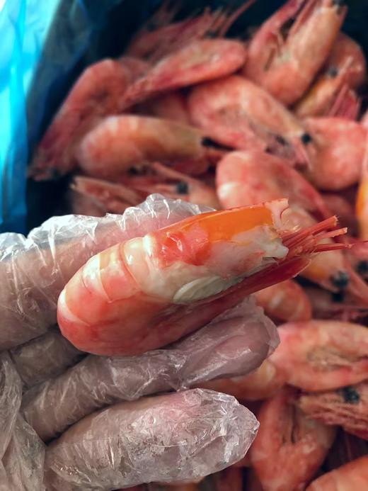 含籽率90%以上！【北极甜虾（头籽）】最新日期 非常整壮 颜色鲜红 京东发货 省内次日达 商品图4