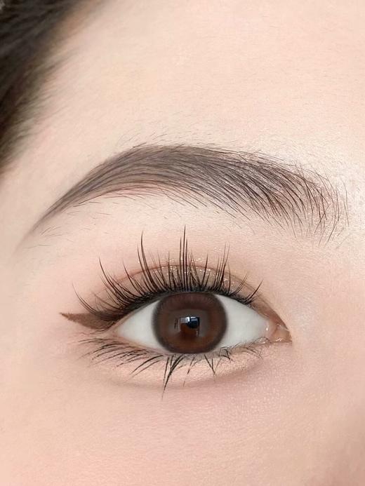 Aromi日抛--H02 商品图13