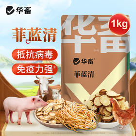 华畜菲蓝清非瘟蓝耳 免疫力强 地抗病毒