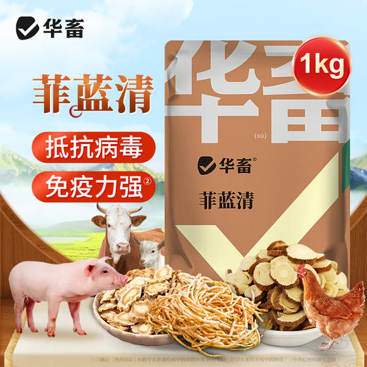 华畜菲蓝清非瘟蓝耳 免疫力强 地抗病毒 商品图0